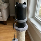 Electronic Creative Portable Pet Laser Cat Toys