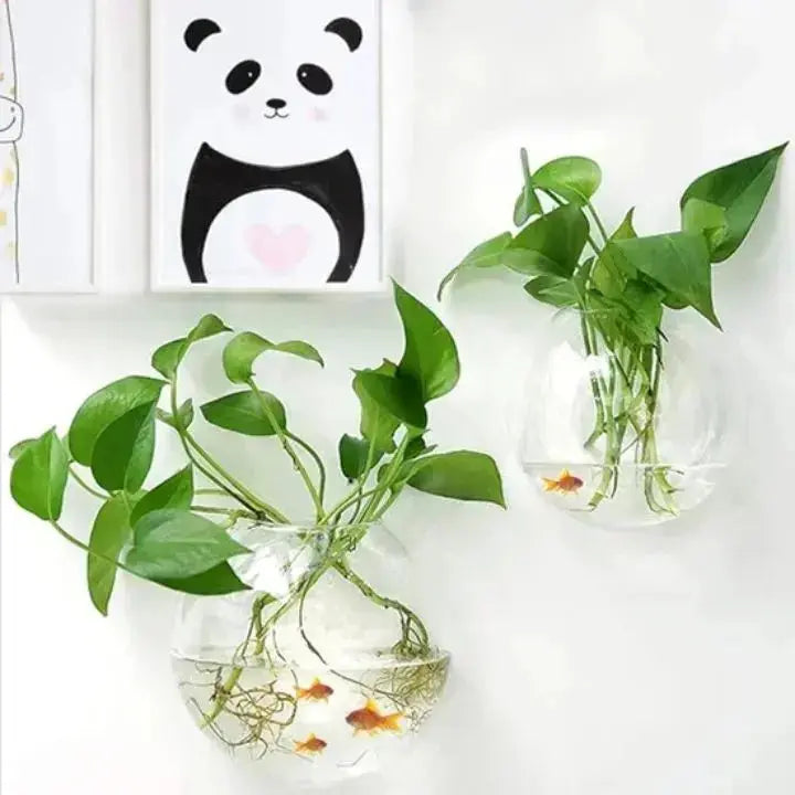 GlasOase — Bring Your Walls to Life with Fresh Nature Power and Style