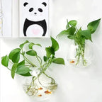 GlasOase — Bring Your Walls to Life with Fresh Nature Power and Style