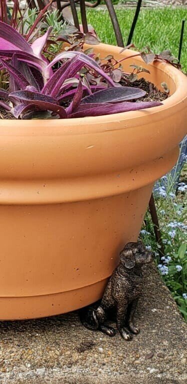Zevolim| Potty Feet Plant Pot Feet