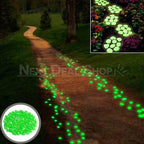 Zevolim| Glow-in-the-Dark Garden Pebbles