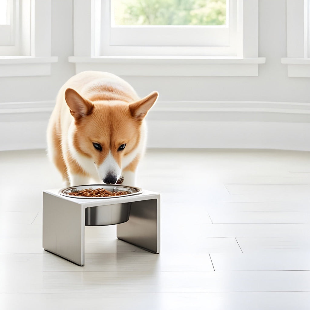 Slate Single Diner - Modern Architectural 304 Stainless Steel Stand w/ Elevated Bowl Food, Water (5" / 9" / 12" Tall)