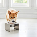 Slate Single Diner - Modern Architectural 304 Stainless Steel Stand w/ Elevated Bowl Food, Water (5" / 9" / 12" Tall)