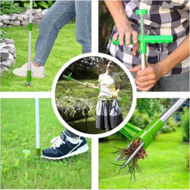 Zevolim| Garden Weed Removal Tool Stainless Steel Root Puller