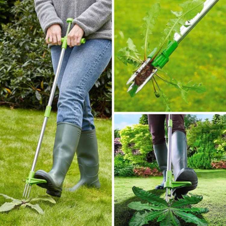 Zevolim| Garden Weed Removal Tool Stainless Steel Root Puller