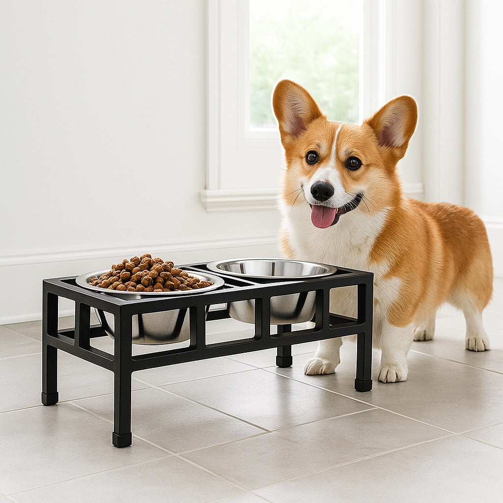 Four Square Double Diner - Modern Architectural Steel Elevated Dog Feeder (5.5" / 12" /  18" Tall)
