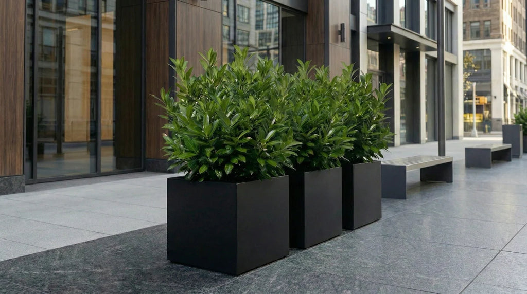 Seeley Cube 30" Extra Large Block Fiberglass Planter Box - Heavy Duty Steel Reinforced - Indoor / Outdoor Tree Planter w/ Drainage
