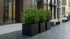 Seeley Cube 30" Extra Large Block Fiberglass Planter Box - Heavy Duty Steel Reinforced - Indoor / Outdoor Tree Planter w/ Drainage