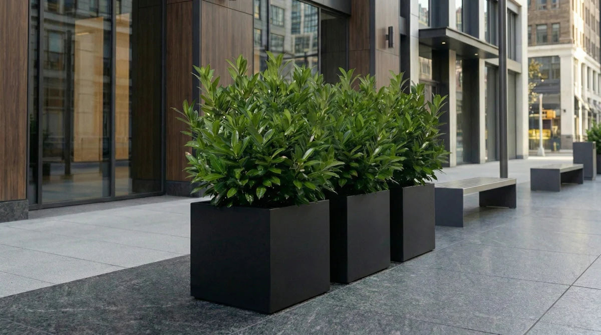 Seeley Cube 30" Extra Large Block Fiberglass Planter Box - Heavy Duty Steel Reinforced - Indoor / Outdoor Tree Planter w/ Drainage