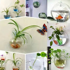 GlasOase — Bring Your Walls to Life with Fresh Nature Power and Style