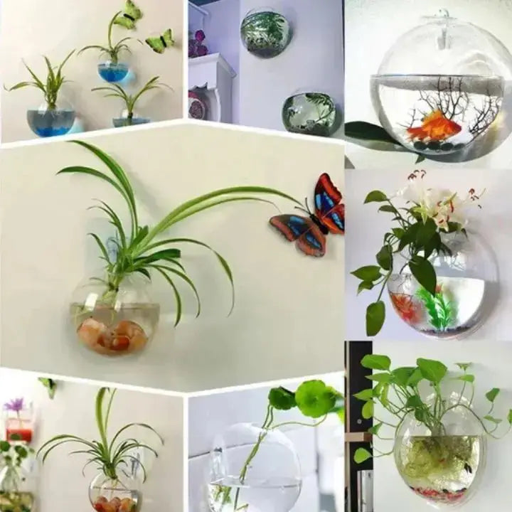 GlasOase — Bring Your Walls to Life with Fresh Nature Power and Style