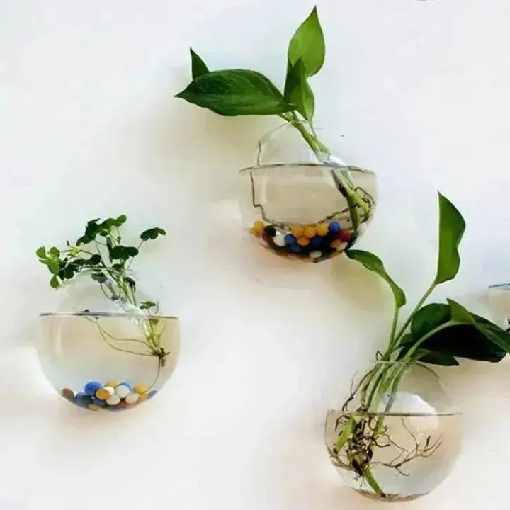 GlasOase — Bring Your Walls to Life with Fresh Nature Power and Style