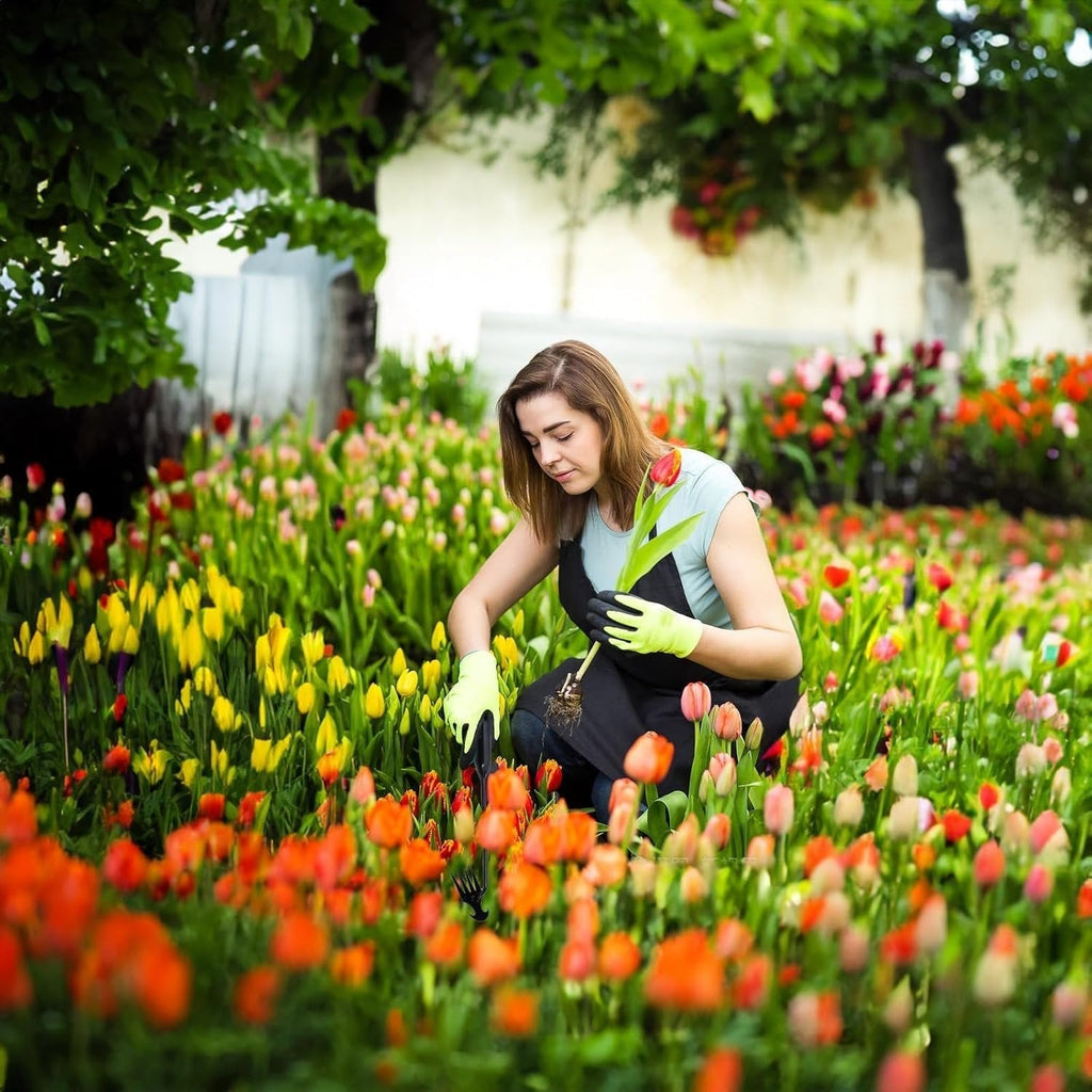Zevolim| Garden Weed Pulling Tool