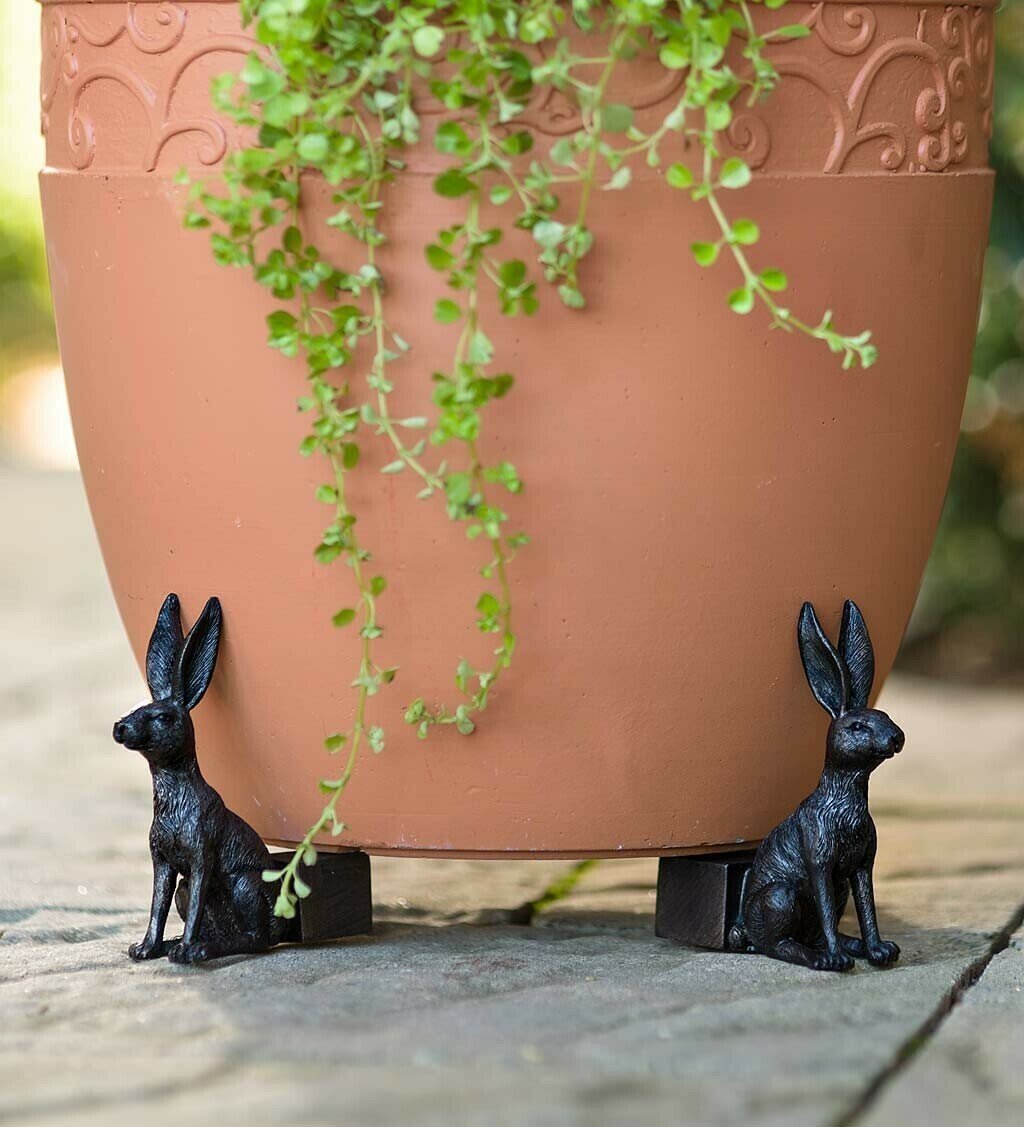 Zevolim| Potty Feet Plant Pot Feet