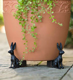 Zevolim| Potty Feet Plant Pot Feet