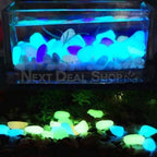 Zevolim| Glow-in-the-Dark Garden Pebbles