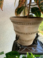 Zevolim| Potty Feet Plant Pot Feet