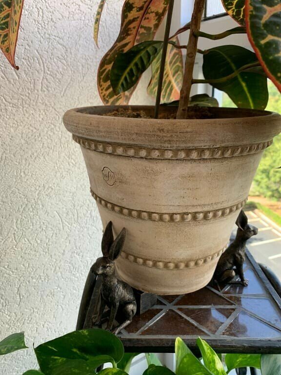 Zevolim| Potty Feet Plant Pot Feet