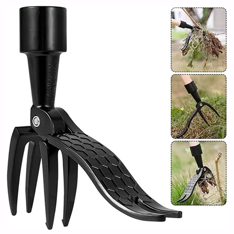 Zevolim| New removable weeder