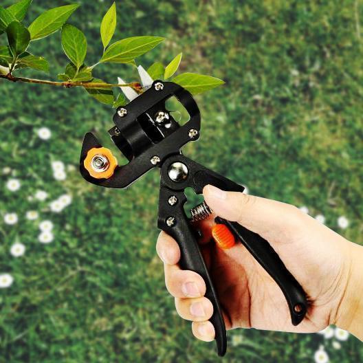 Zevolim| Grafting Pruning Shears