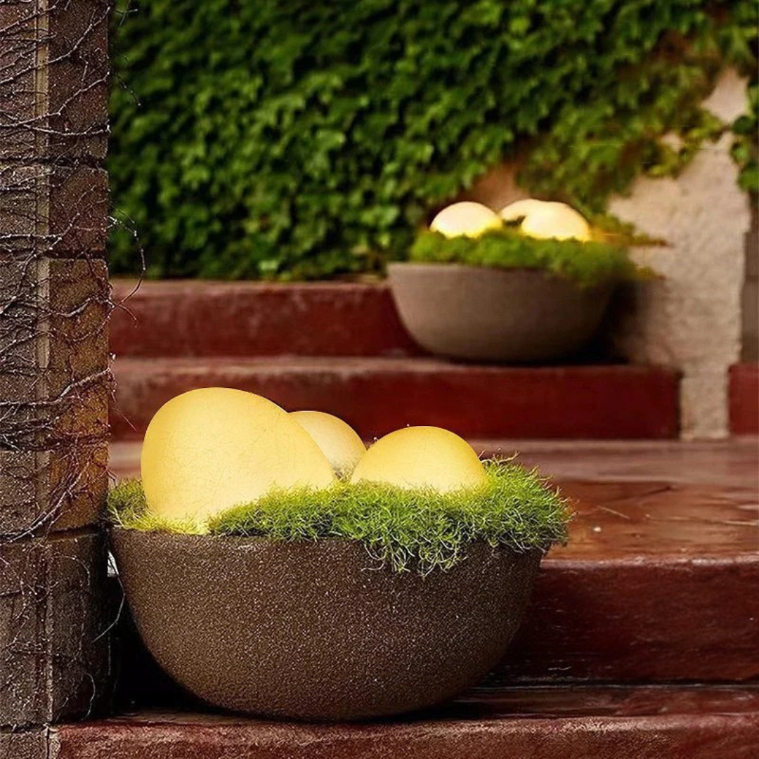 Zevolim| LED Outdoor Decorative Garden Light