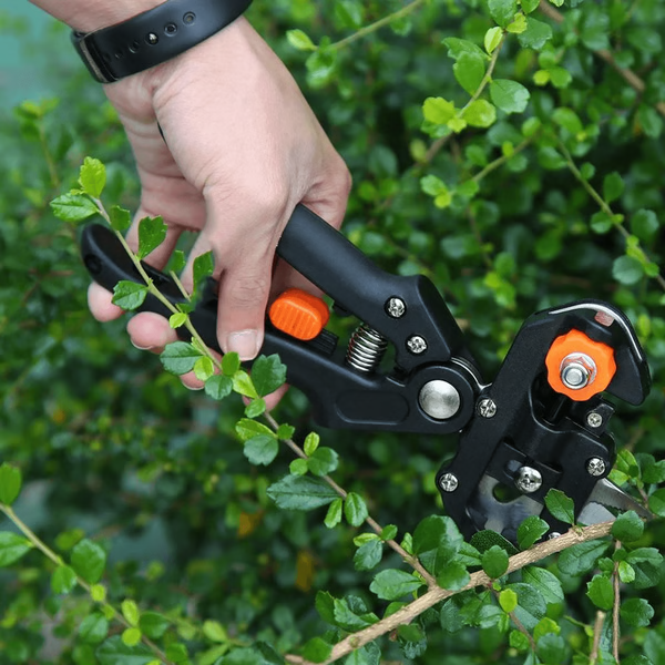 Zevolim| Professional Grafting & Pruning Tool
