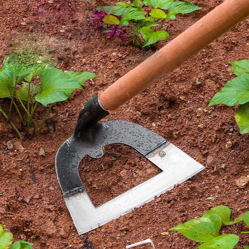 Zevolim| Garden hack - A perfect garden!