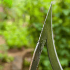 Zevolim| Garden hack - A perfect garden!