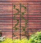 Katerina Garden Screen - Architectural 72" Tall Wrought Iron Metal Trellis (2) Panels w/ Feet