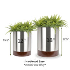 Knox Cylinder Indoor Planter w/ Hardwood Base - Organic Modern Architectural, Stainless Steel (18/8 Heavy Duty), Surface-Safe (15.5" Tall / 22.5" Tall)