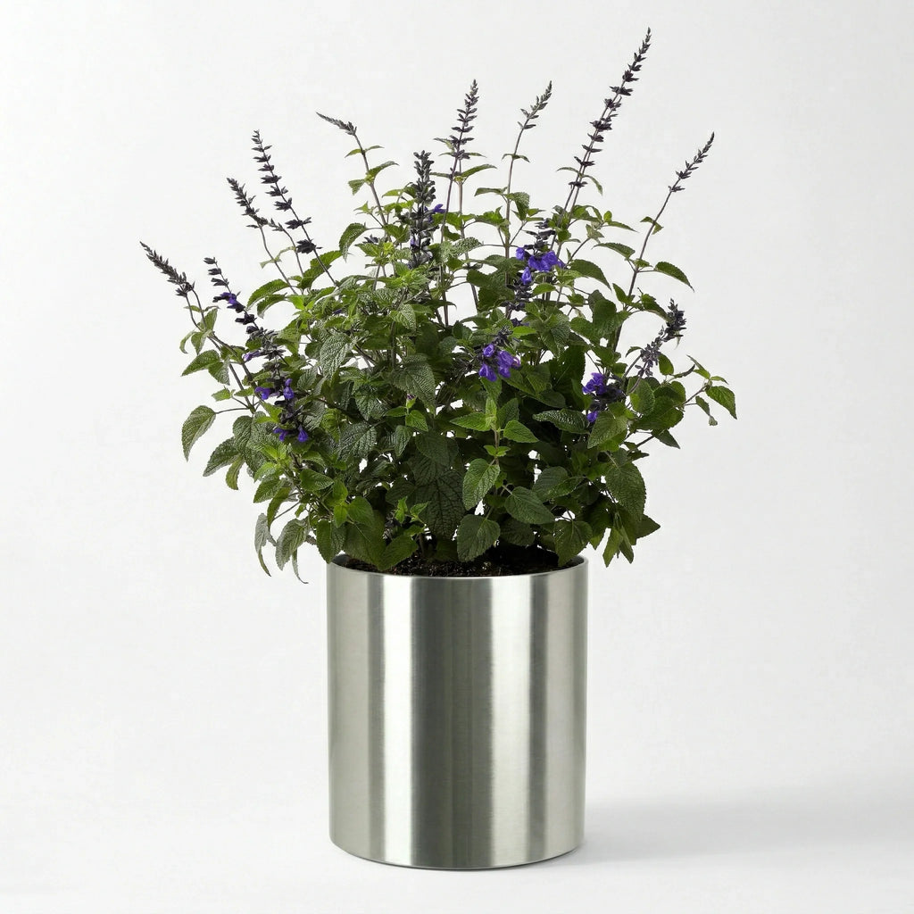 Knox Cylinder 31" Extra Large Planter - Modern Architectural Stainless Steel (18/8 Heavy Duty) Surface-Safe, Indoor / Outdoor (24" Ht x 31" Diam)