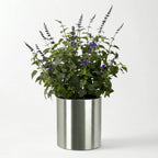 Knox Cylinder 31" Extra Large Planter - Modern Architectural Stainless Steel (18/8 Heavy Duty) Surface-Safe, Indoor / Outdoor (24" Ht x 31" Diam)