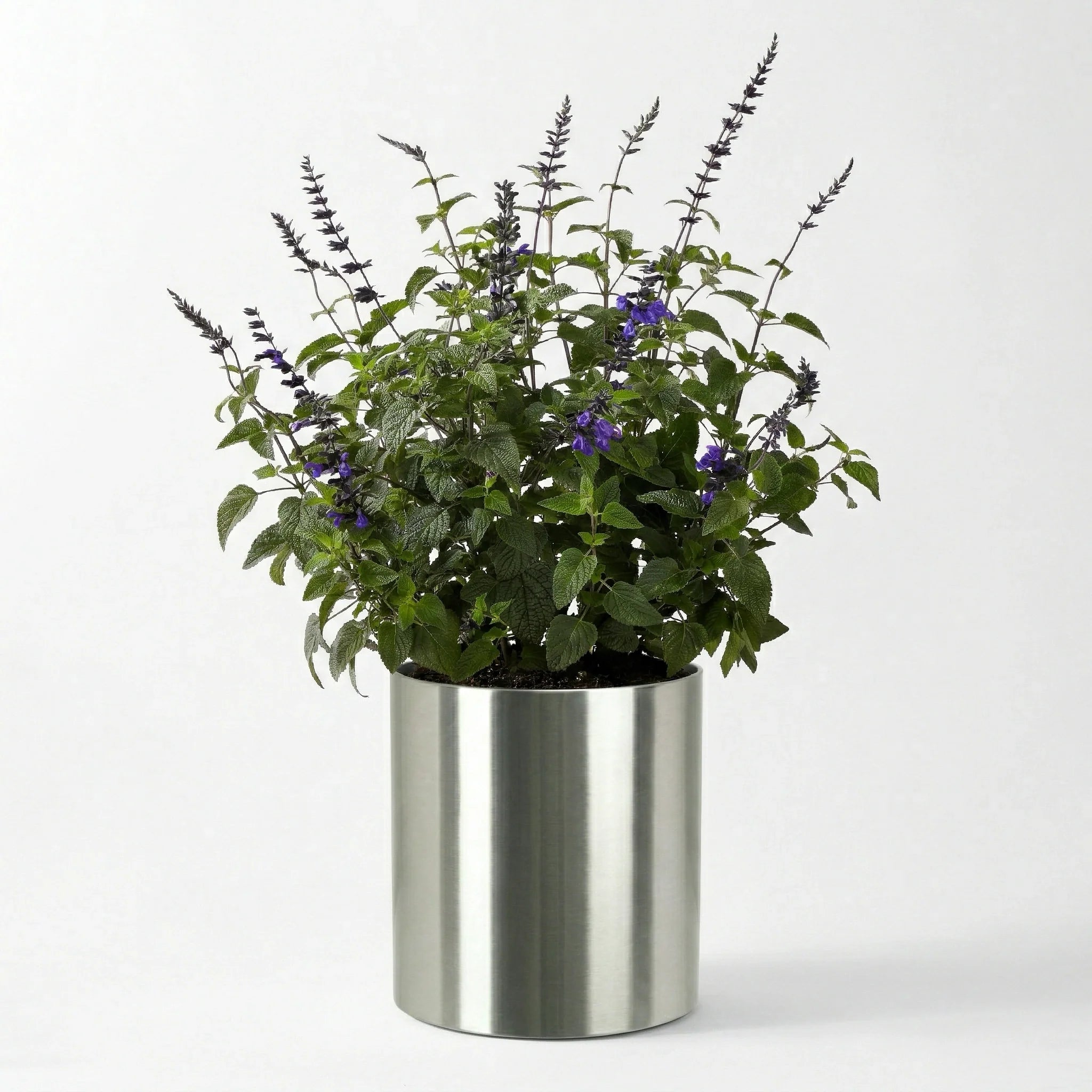 Knox Cylinder 31" Extra Large Planter - Modern Architectural Stainless Steel (18/8 Heavy Duty) Surface-Safe, Indoor / Outdoor (24" Ht x 31" Diam)