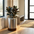 Knox Cylinder Indoor Planter w/ Hardwood Base - Organic Modern Architectural, Stainless Steel (18/8 Heavy Duty), Surface-Safe (15.5" Tall / 22.5" Tall)
