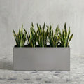 Madeira Aluminum Long Block Planter 30" - Seamless Architectural (Silver) Waterproof Lining - Indoor / Outdoor (30" L x 12" W x 12" Tall)
