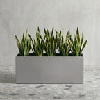 Madeira Aluminum Long Block Planter 30" - Seamless Architectural (Silver) Waterproof Lining - Indoor / Outdoor (30" L x 12" W x 12" Tall)