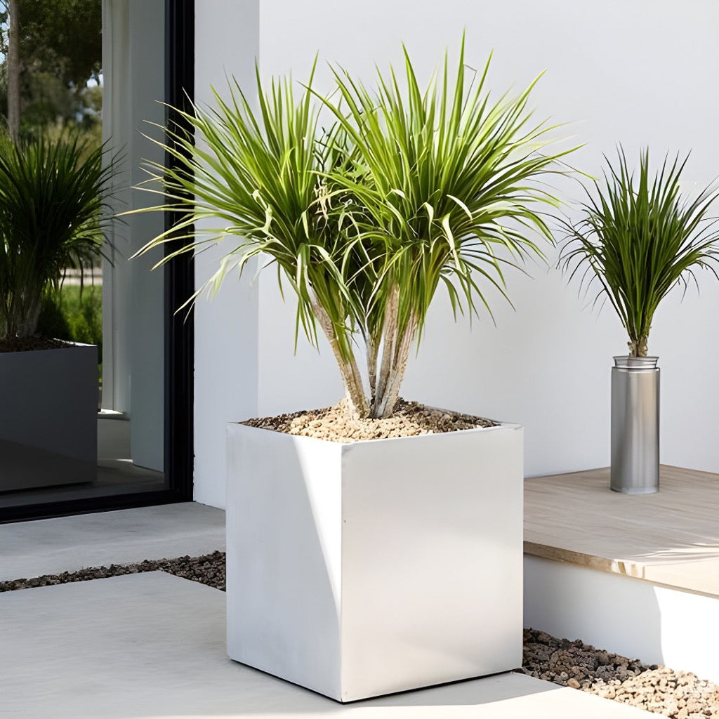 Madeira Cube Planter - Modern Architectural Seamless Aluminum Metal (Silver) Fiberglass Lining, No Drainage - Indoor / Outdoor (16" / 20" Square)