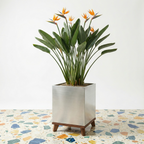 Madeira Cube Indoor Planter w/ Wood Base - Modern Seamless Aluminum Metal (Silver), Surface-Safe w/ Fiberglass Lining (16" Pot, 20" Tall w/ Stand)