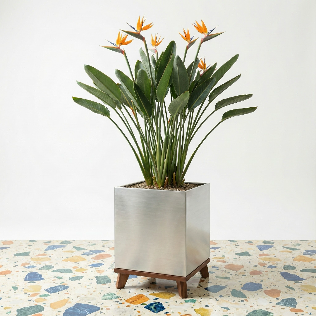 Madeira Cube Indoor Planter w/ Wood Base - Modern Seamless Aluminum Metal (Silver), Surface-Safe w/ Fiberglass Lining (16" Pot, 20" Tall w/ Stand)