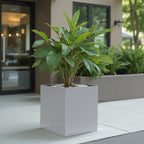 Madeira Cube Planter - Modern Architectural Seamless Aluminum Metal (Silver) Fiberglass Lining, No Drainage - Indoor / Outdoor (16" / 20" Square)