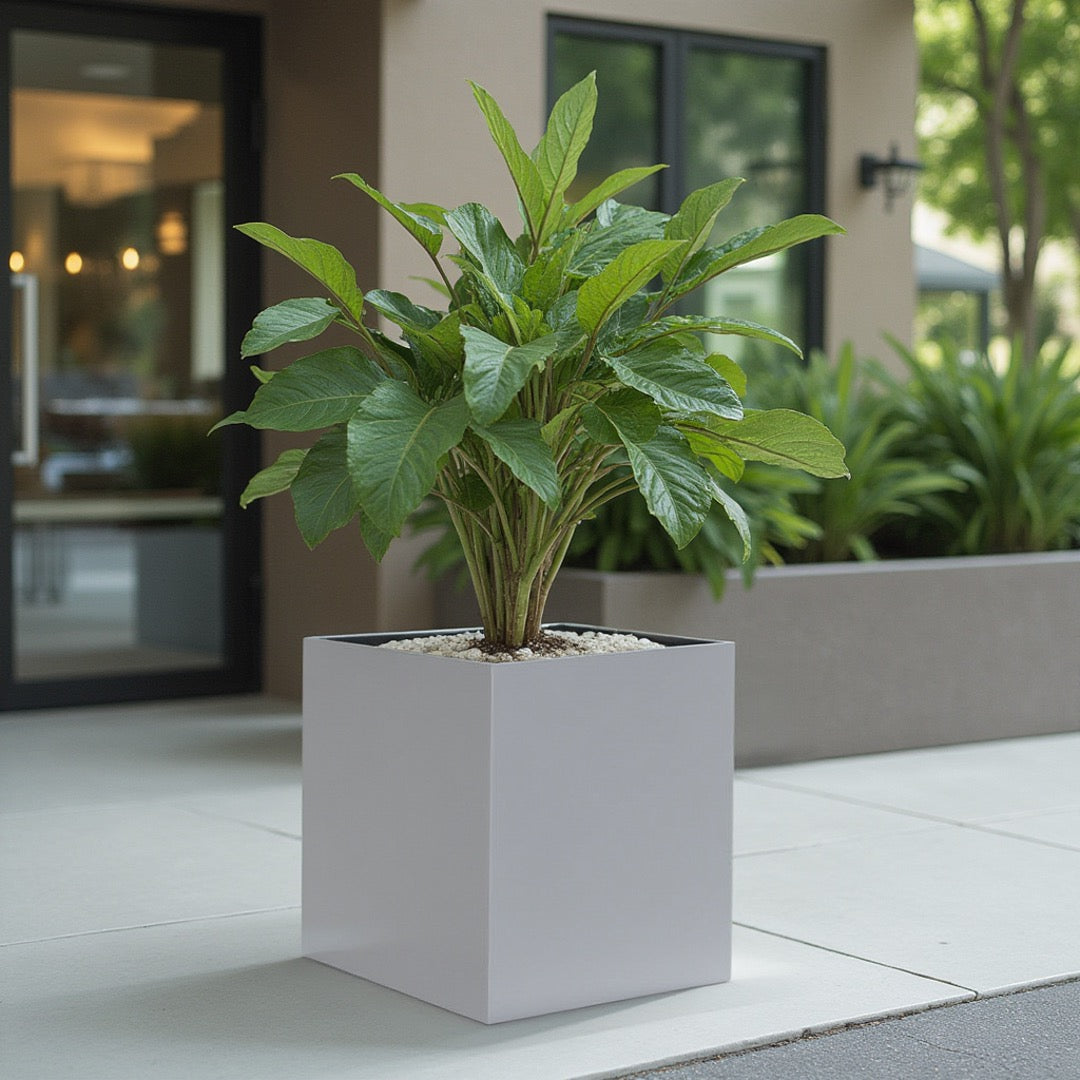 Madeira Cube Planter - Modern Architectural Seamless Aluminum Metal (Silver) Fiberglass Lining, No Drainage - Indoor / Outdoor (16" / 20" Square)