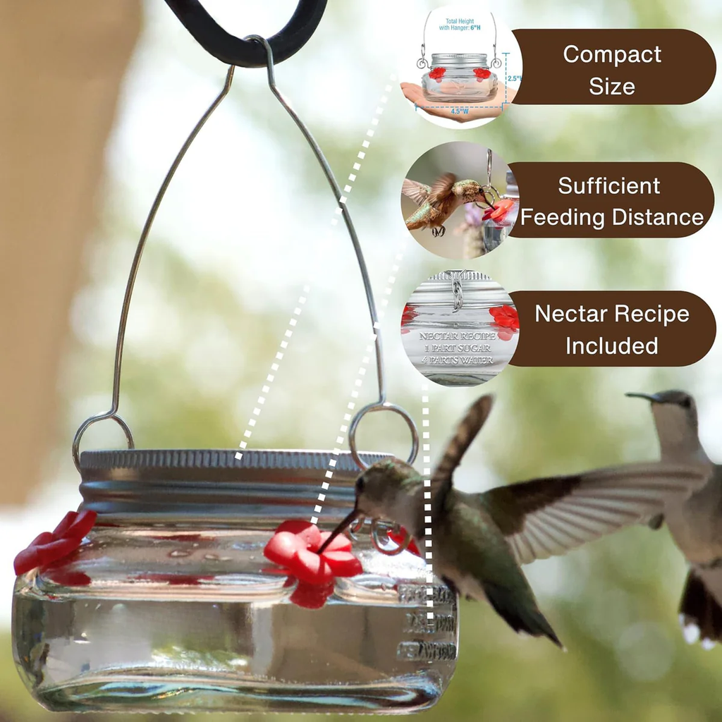 Mason Jar Hummingbird Dish Feeder Hanging Nectar Feeder 2 Pack