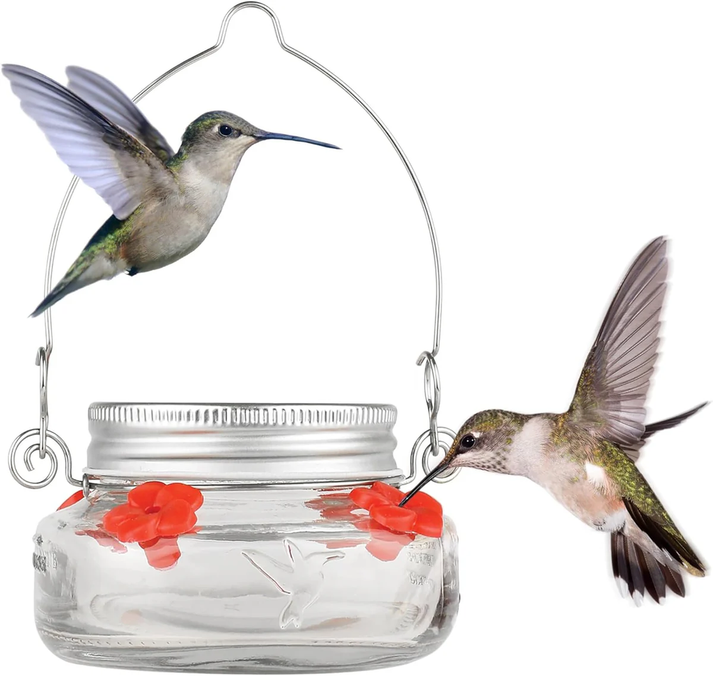 Mason Jar Hummingbird Dish Feeder Hanging Nectar Feeder 2 Pack