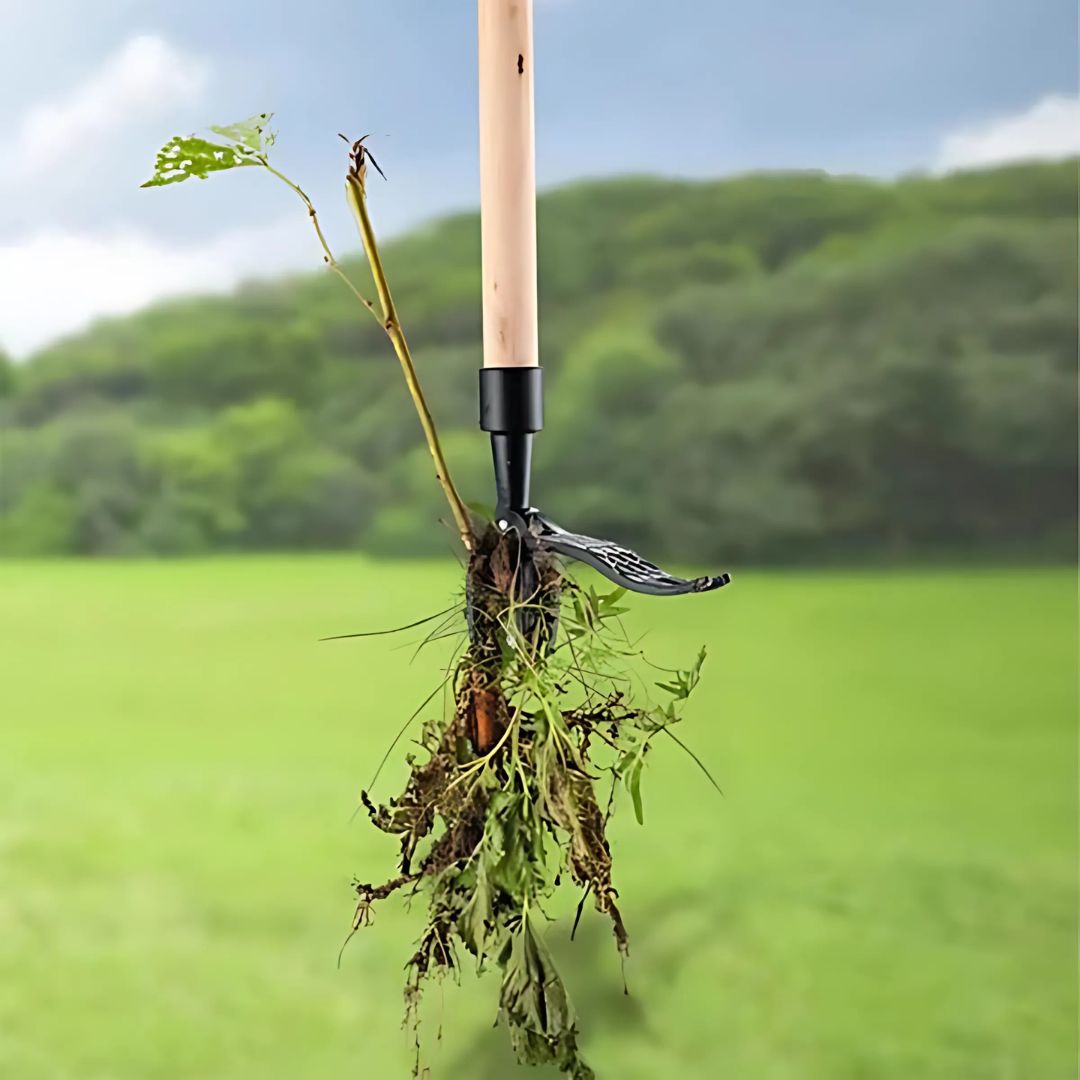 Zevolim| Ergonomic Weeding Tool | High-Strength Steel Claws for Effortless Weed Removal in Gardens