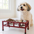 Four Square Double Diner - Modern Architectural Steel Elevated Dog Feeder (5.5" / 12" /  18" Tall)