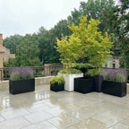 Seeley Cube Block Planter - Architectural Steel-Reinforced Fiberglass w/ Drainage, Indoor / Outdoor (14" / 20" / 24" / 30" Square)