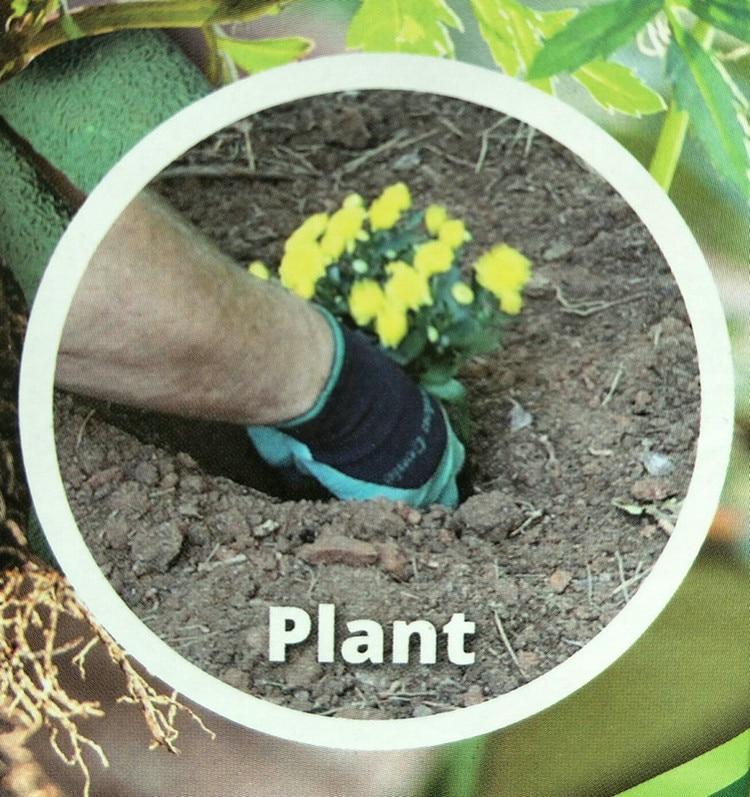 Zevolim| Claws Garden Gloves