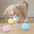 Pet Interactive Training Sound Ball