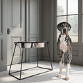 Pyramid XL Double Diner - Minimalist Wrought Iron Stand, Large Breed Elevated Dog Feeding Station (18", 24" Tall)