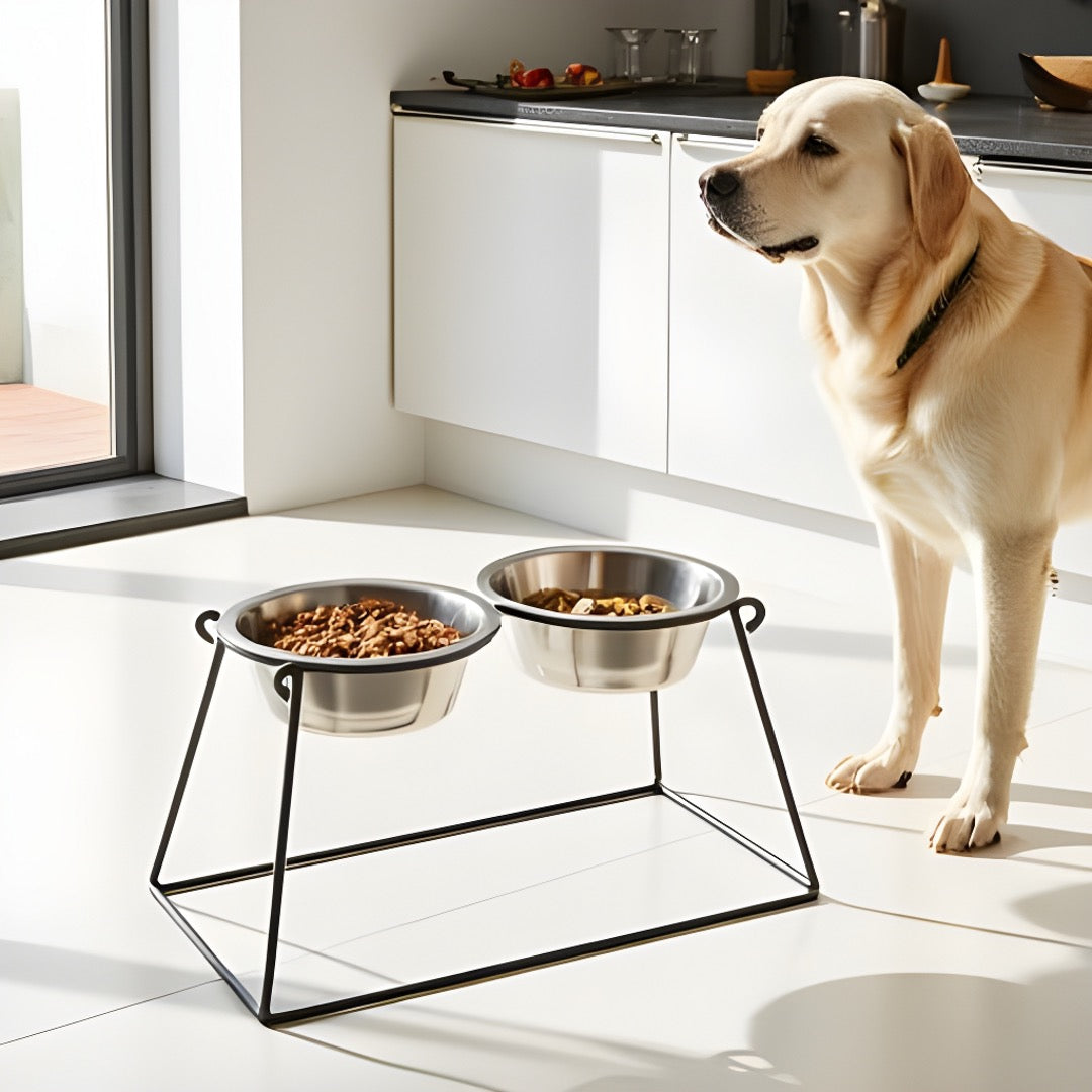 Pyramid Double Diner - Minimalist Wrought Iron Stand, Elevated Dog Bowl Feeder ( 5" / 7" /  12" / 18" / 24")